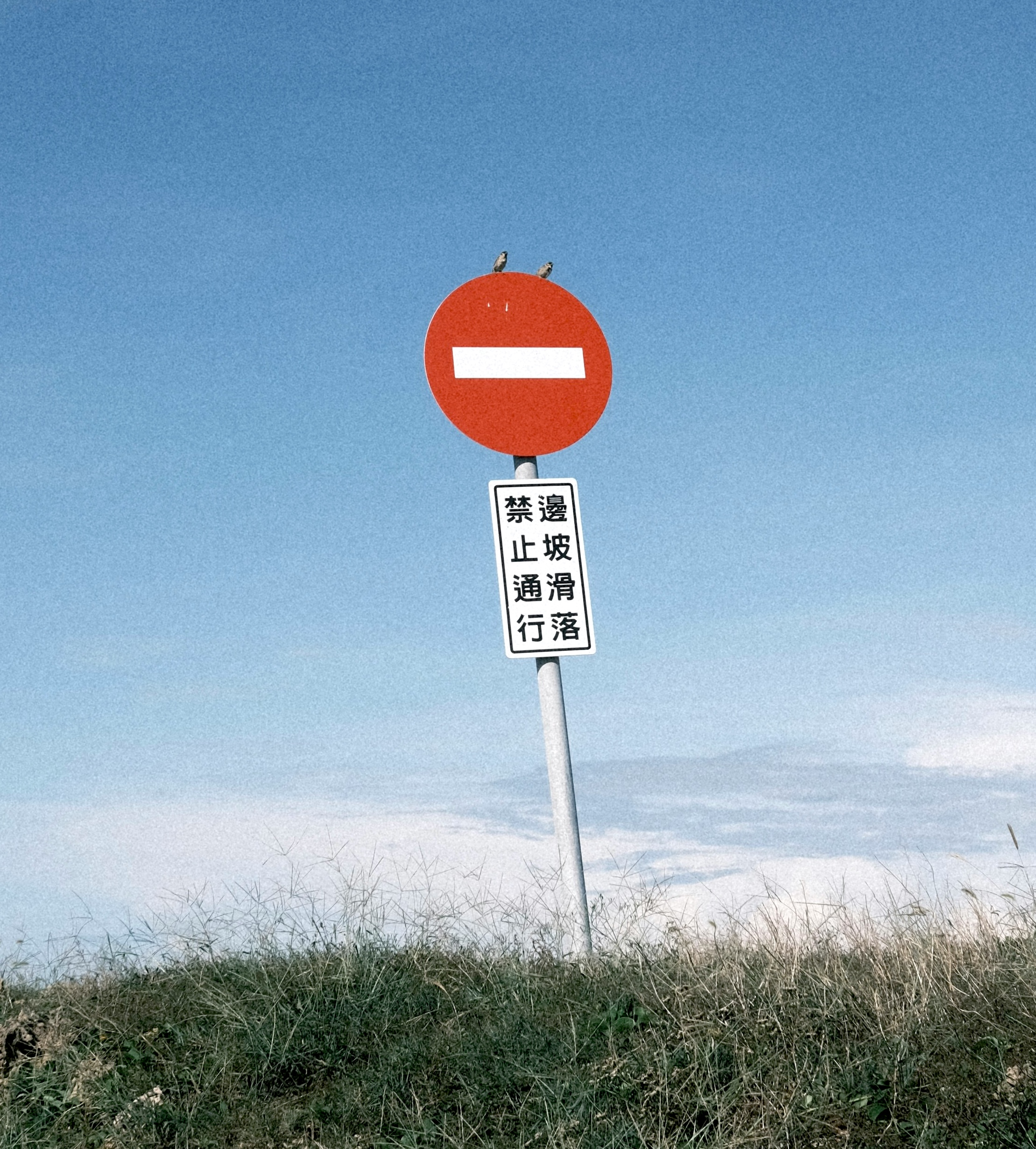 The Internet of Consent